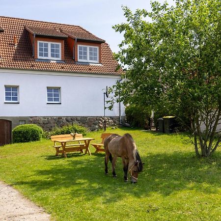 Ferienwohnung "Flori'S Ponyhof" Kröpelin Eksteriør billede