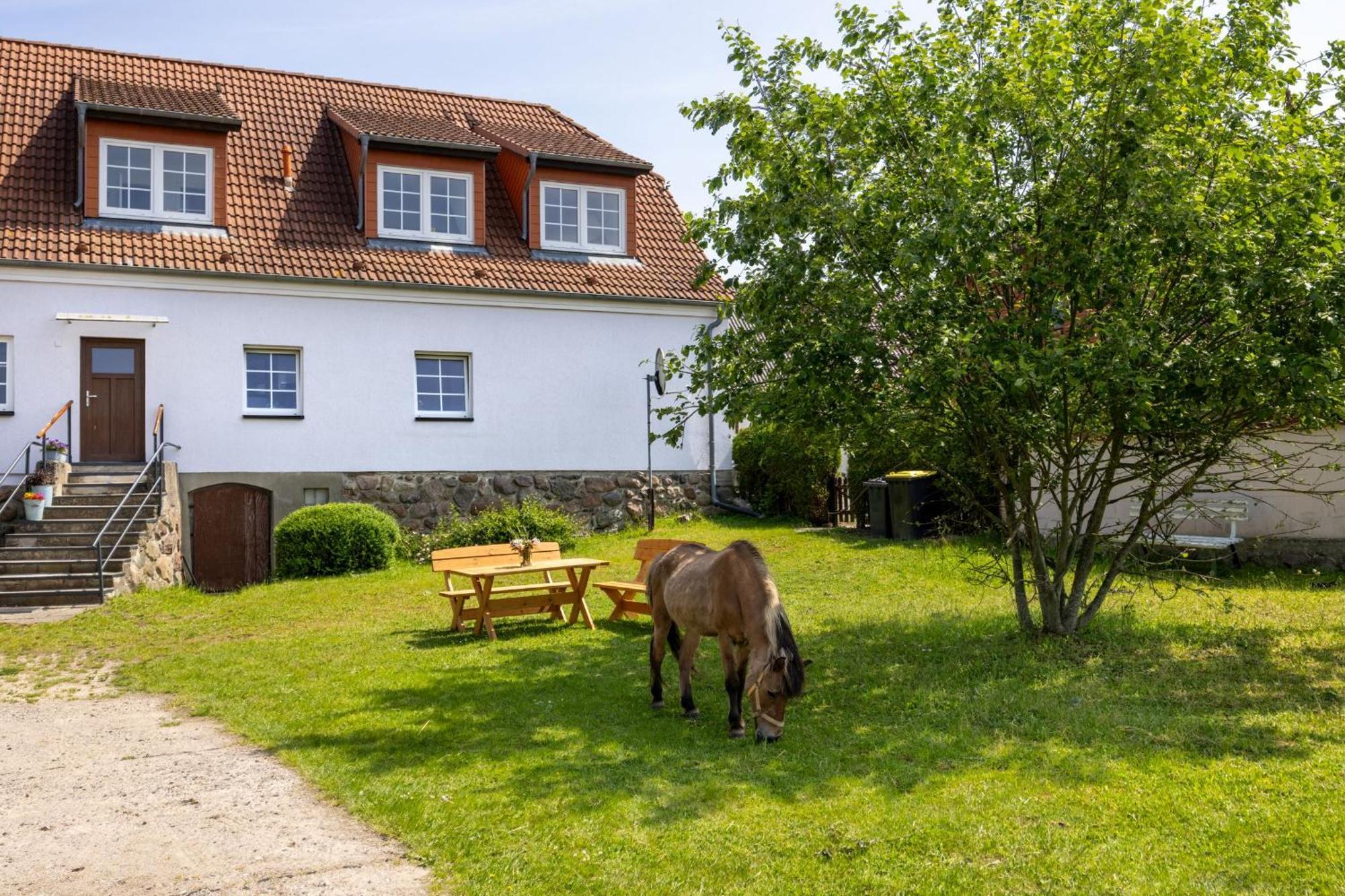 Ferienwohnung "Flori'S Ponyhof" Kröpelin Eksteriør billede